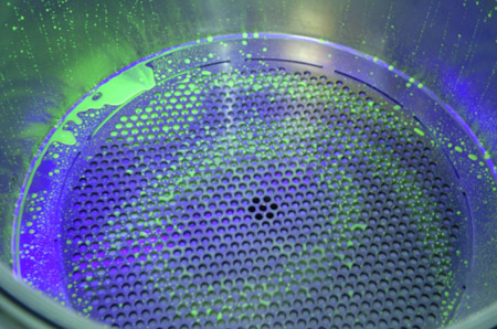 1653987964923040.jpg 4105077.jpg