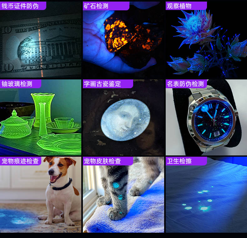 手電筒廠(chǎng)家